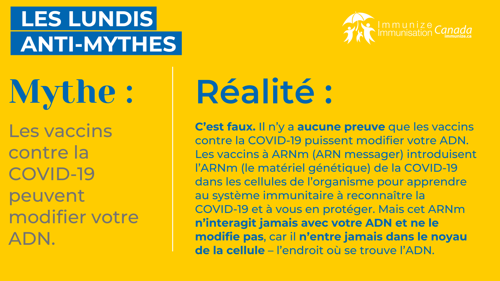 Les lundis anti-mythes - COVID-19 - image 6 pour Twitter/X