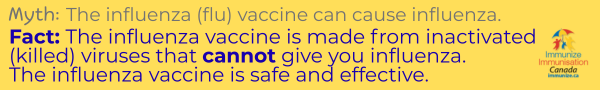 Myth vs. Fact: Influenza vaccine (banner image)