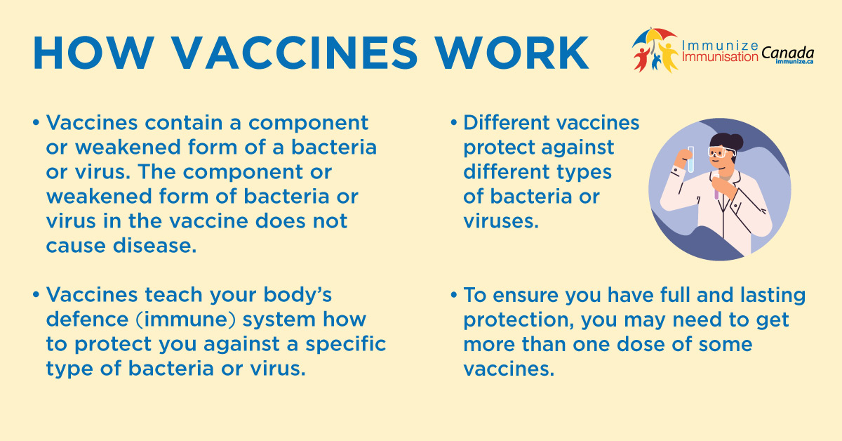 How Vaccines Work - social media image for Facebook