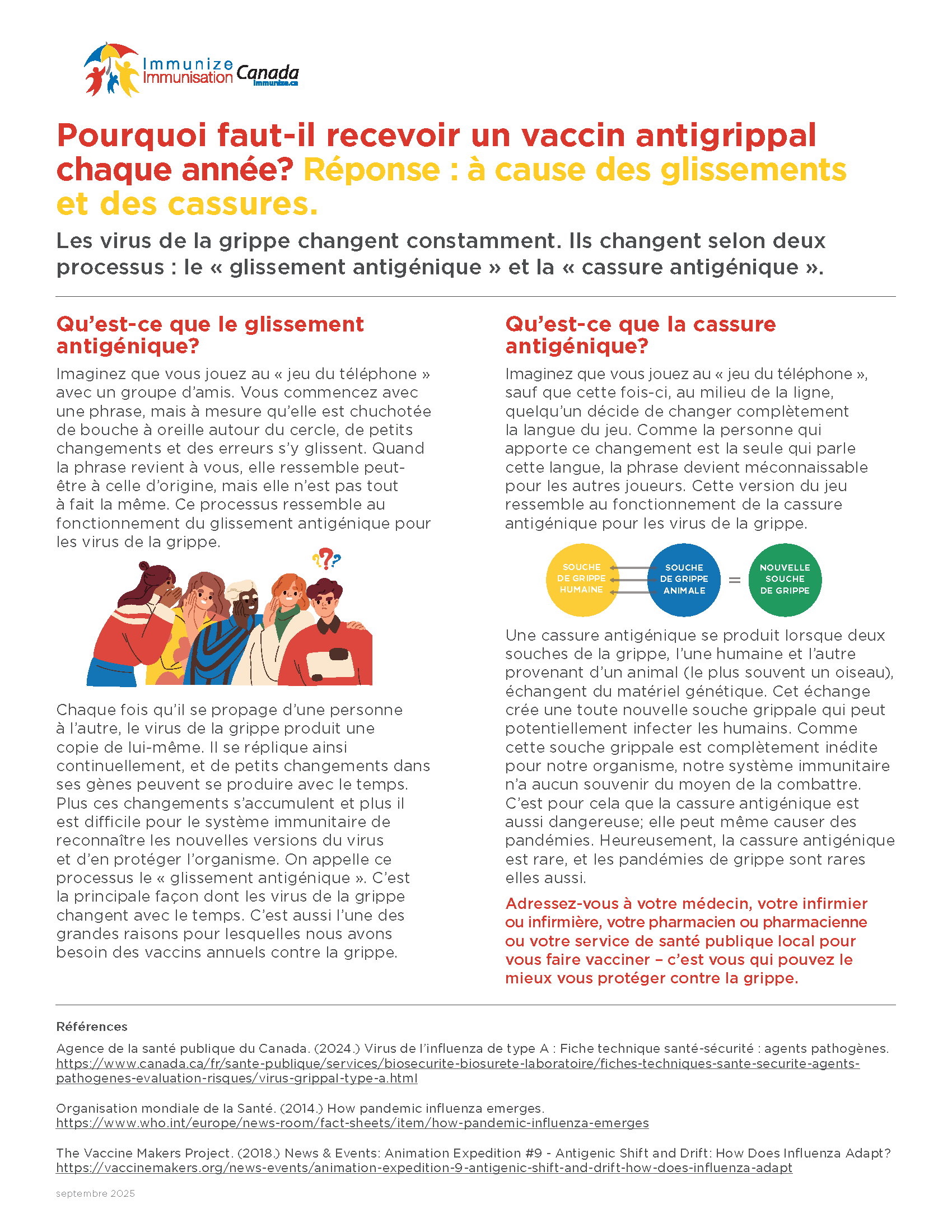 ​Pourquoi faut-il recevoir un vaccin antigrippal chaque année? Réponse : à cause des glissements et des cassures (fiche d'information)