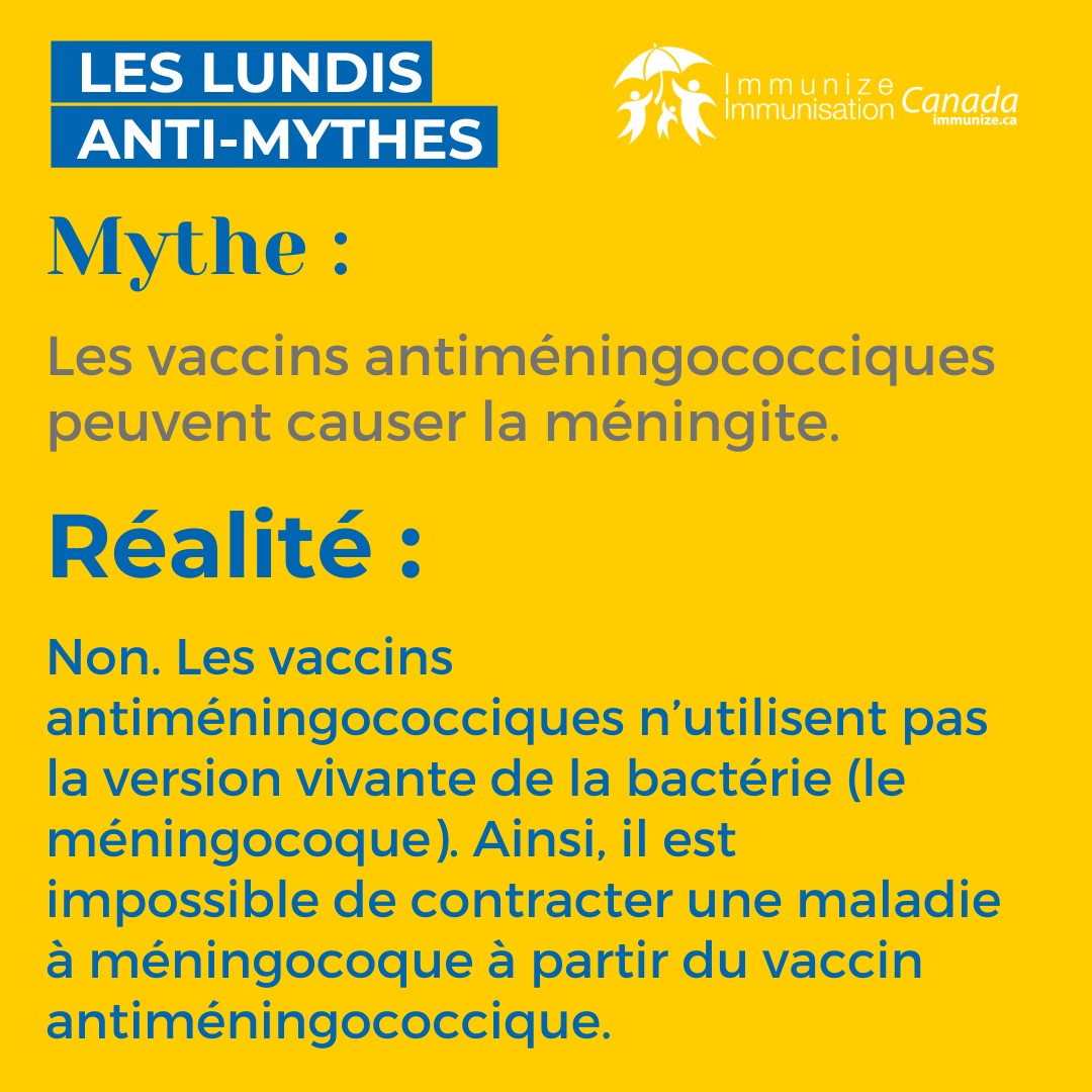 Les lundis anti-mythes - méningocoque - image 2 pour Instagram