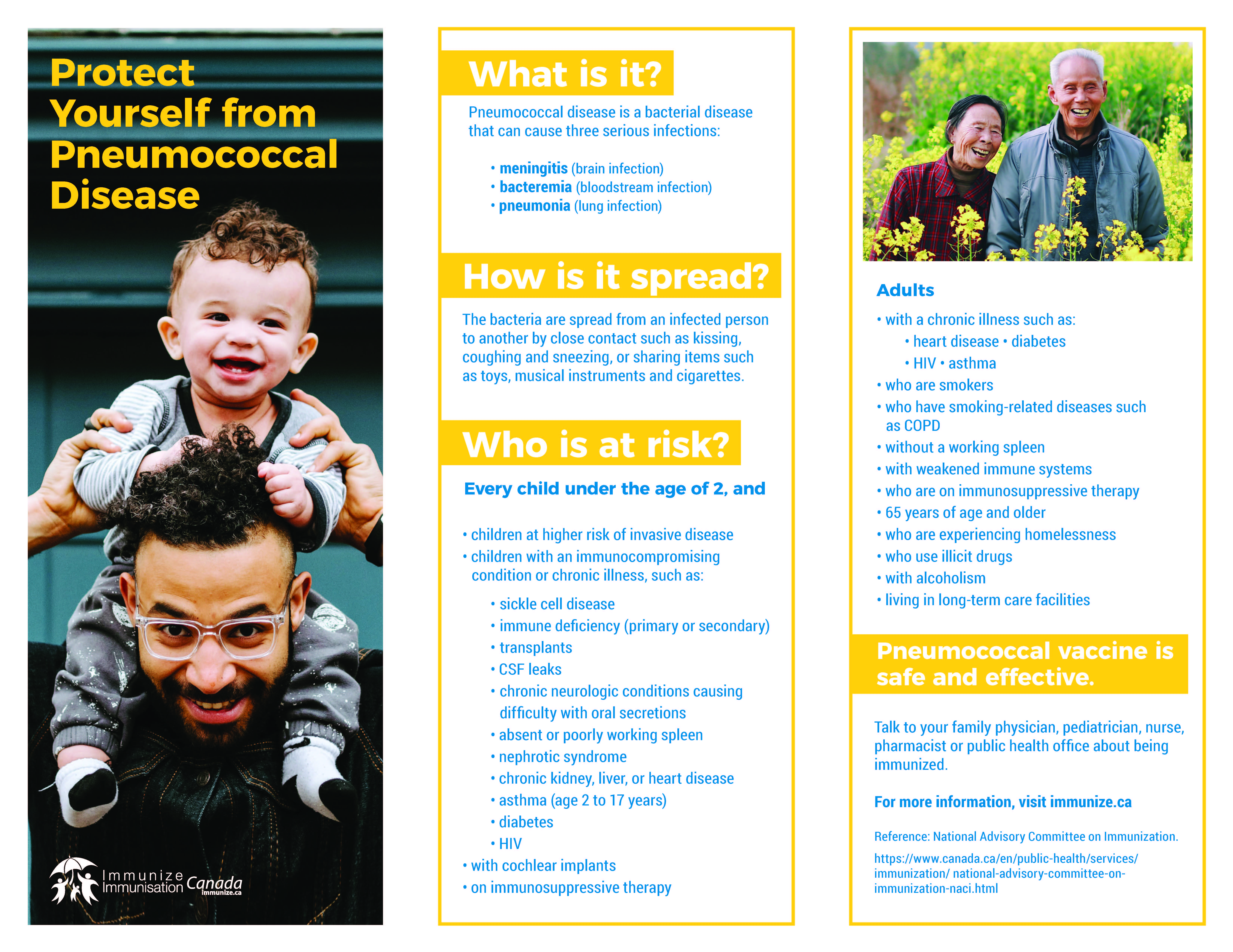 Protect yourself from pneumococcal disease (brochure)